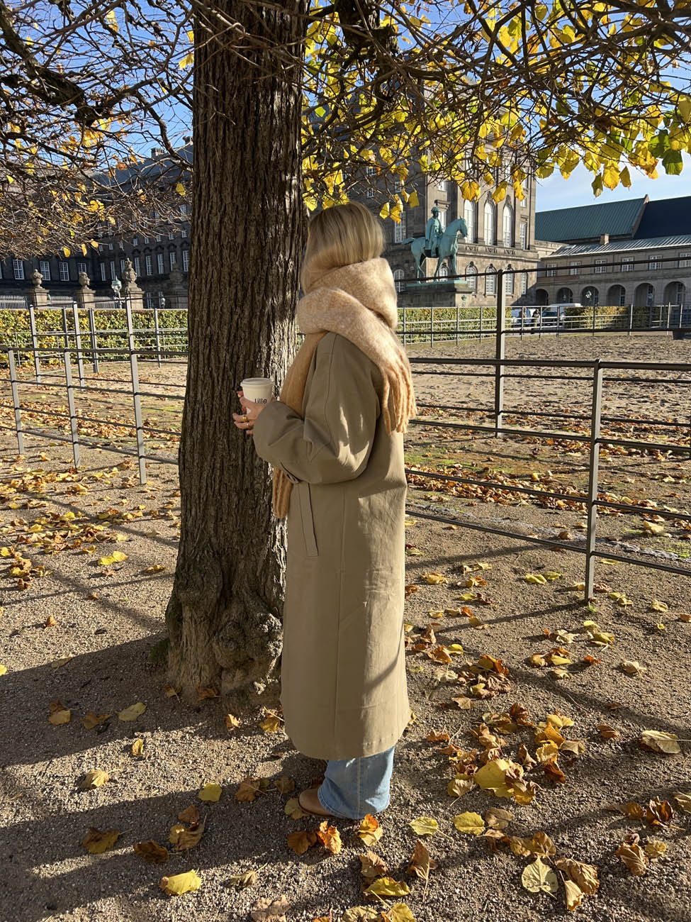 Gale scarf - Light brown