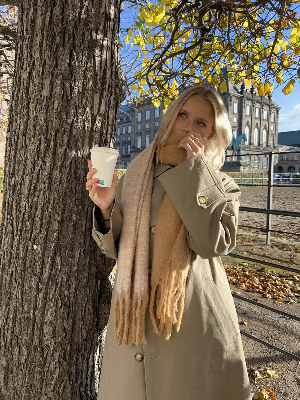 Gale scarf - Light brown