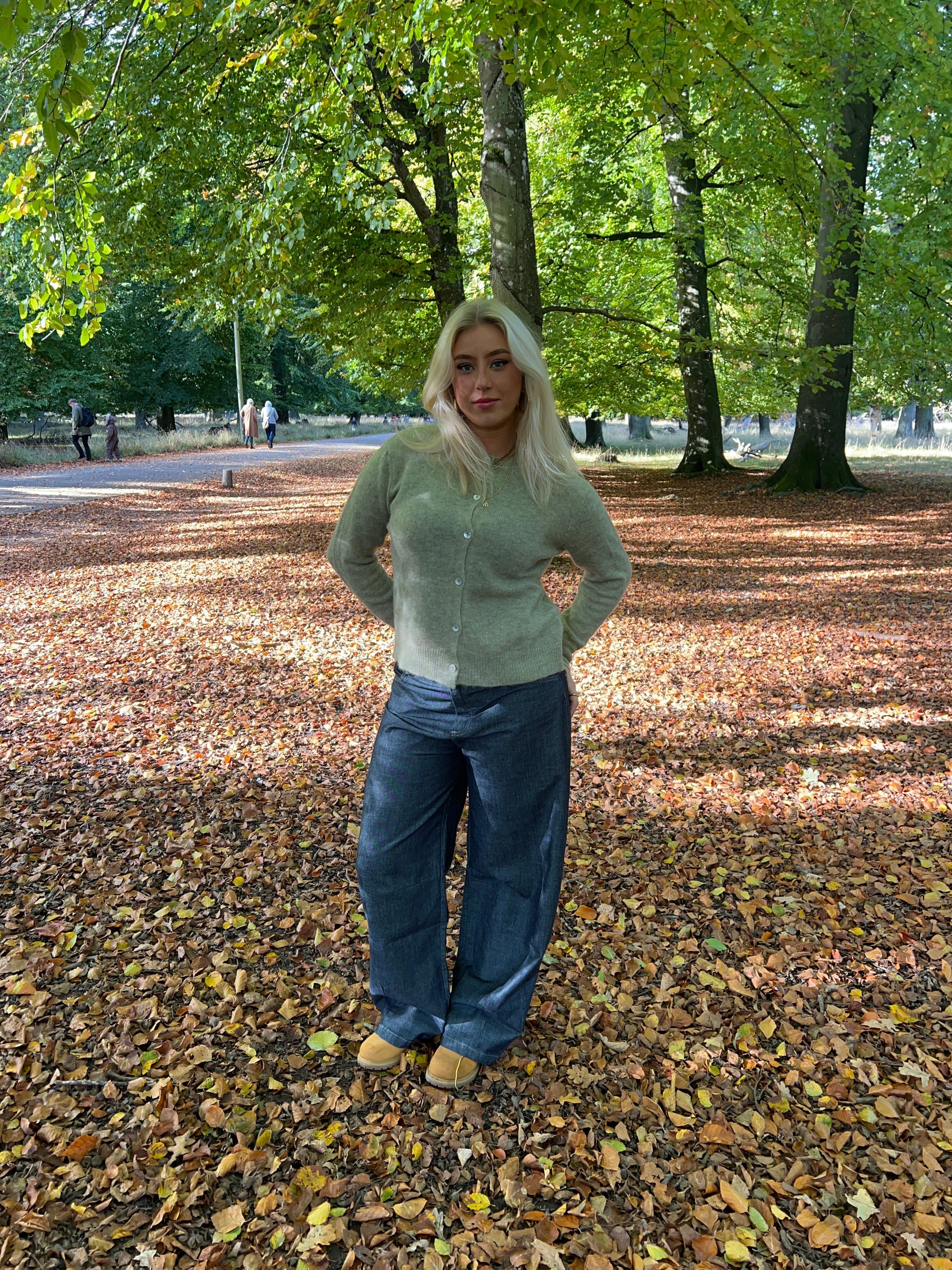 Tilde wool cardigan - Sage green